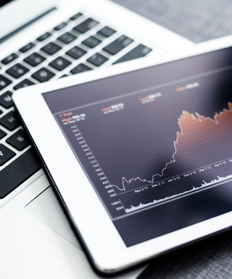 Professionele WordPress website bouwen